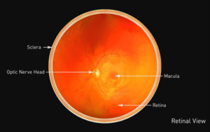 Retinal-Care-Treatment