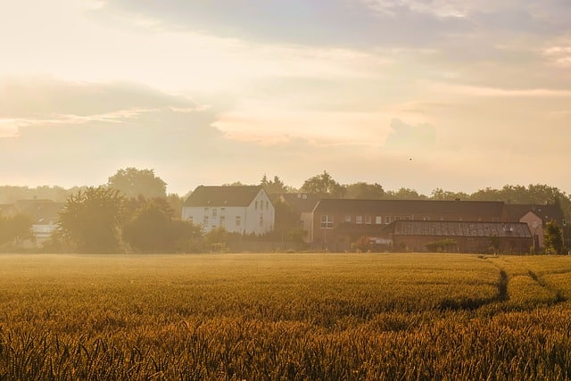 crop field with houses in the distance with a white haze or fog enveloping everything